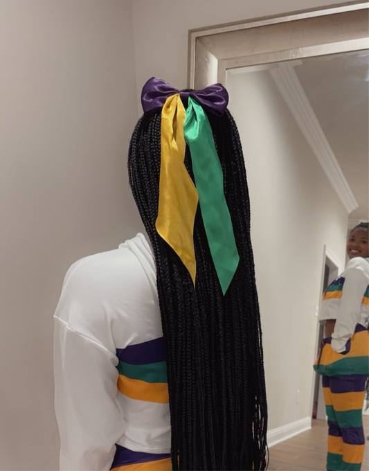 Color Block Mardi Gras Bow